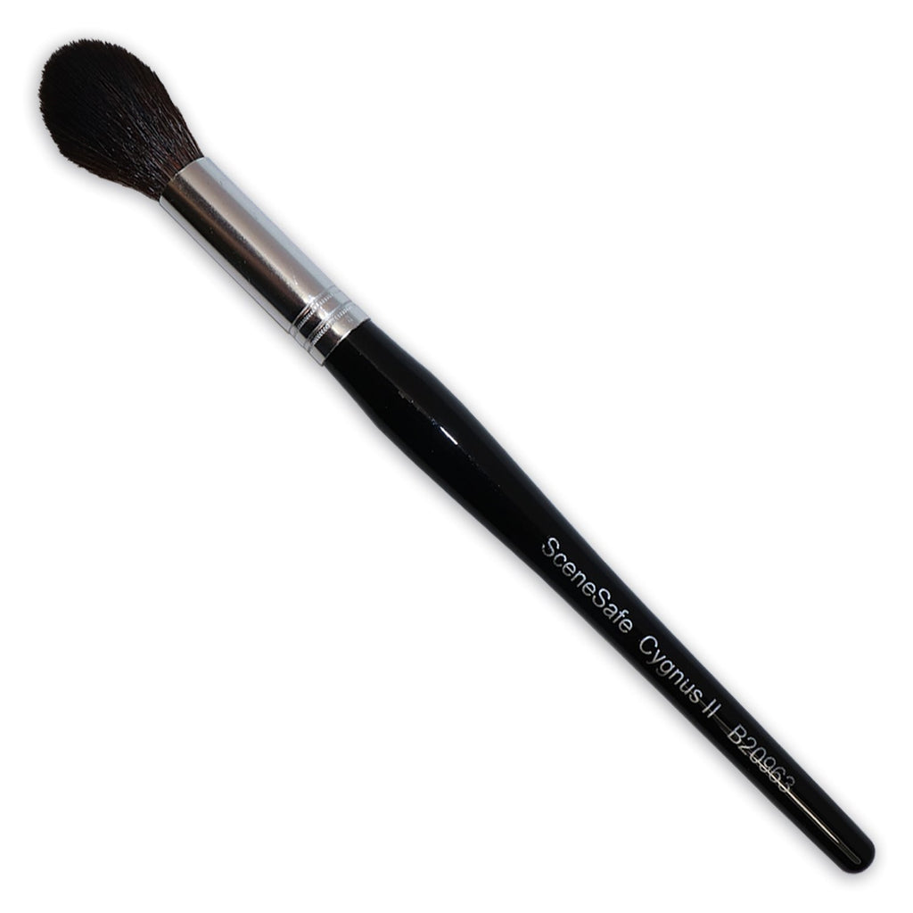 Synthetic Brushes — SceneSafe