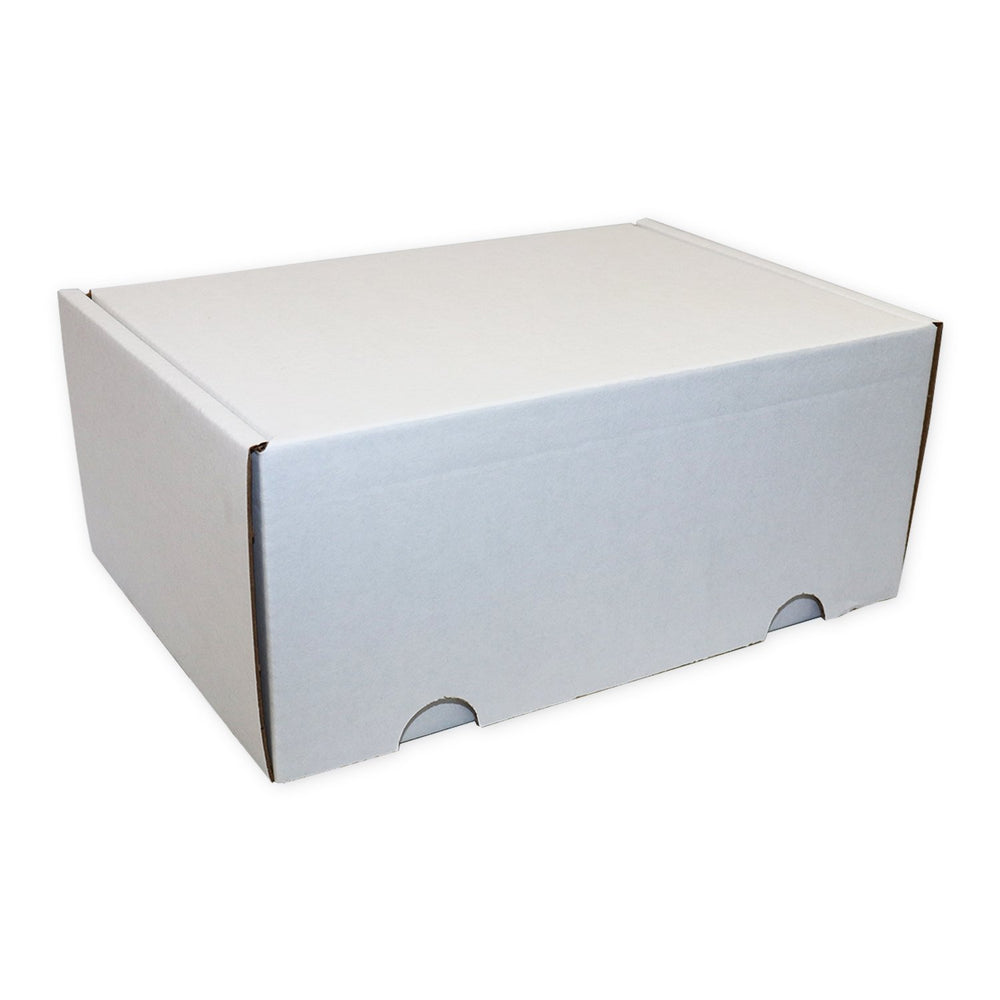 Carton R. White White Cardboard Carton — SceneSafe