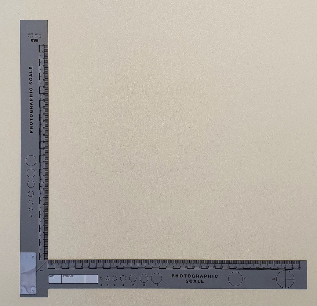 Photographic scales large